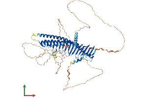 AlphaFold protein structure predicition of Mouse Recombinant Jph1 Protein, UniprotID Q9ET80 (Junctophilin 1 Protein (JPH1) (AA 1-660) (His tag))