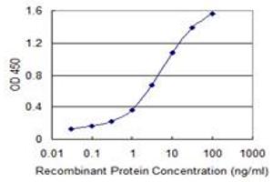 Detection limit for recombinant GST tagged MYCBP is 0. (MYCBP antibody  (AA 34-103))