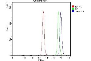 Flow Cytometry analysis of Daudi cells using anti-ONECUT1 antibody (ABIN7599190). (ONECUT1 antibody  (AA 1-270))