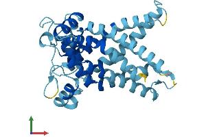 Protein Structure (PS) image for Solute Carrier Family 25, Member 35 (SLC25A35) (AA 1-300) protein (His tag) (ABIN7557549)