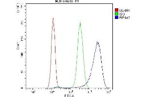 Flow Cytometry analysis of SiHa cells using anti-eIF4A2 antibody (ABIN3043426). (EIF4A2 antibody  (N-Term))
