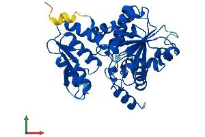 AlphaFold protein structure predicition of Human Recombinant SDSL Protein, UniprotID Q96GA7 (SDSL Protein (AA 1-329) (His tag))