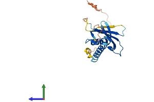 Protein Structure (PS) image for DNA-Damage-Inducible Transcript 4-Like (DDIT4L) (AA 1-193) protein (His tag) (ABIN7559940)