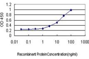 Detection limit for recombinant GST tagged AOF2 is approximately 0. (LSD1 antibody  (AA 753-851))