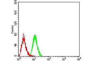 Flow cytometric analysis of Hela cells using PSMC3 mouse mAb (green) and negative control (red). (PSMC3 antibody  (AA 53-152))