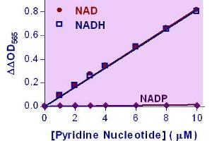 Biochemical Assay (BCA) image for NAD/NADH Assay Kit (ABIN1000284) (NAD/NADH Assay Kit)