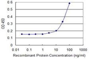 Detection limit for recombinant GST tagged RHOC is 3 ng/ml as a capture antibody. (RHOC antibody  (AA 1-193))