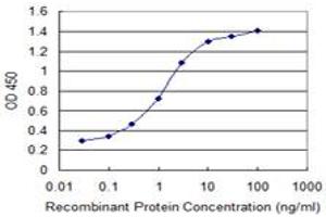 Detection limit for recombinant GST tagged IL23R is 0. (IL23R antibody  (AA 553-628))