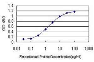 Detection limit for recombinant GST tagged NUP62 is approximately 0. (NUP62 antibody  (AA 1-522))