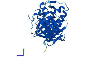 AlphaFold protein structure predicition of Mouse Recombinant Impa1 Protein, UniprotID O55023 (IMPA1 Protein (AA 1-277) (His tag))