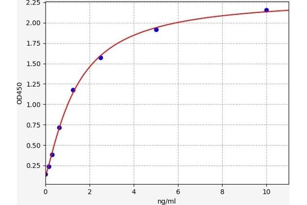 ADORA1 ELISA Kit
