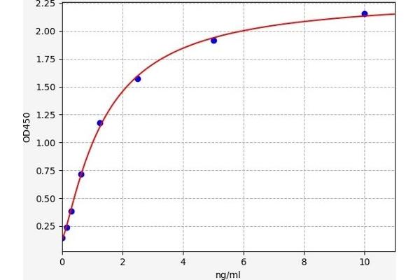 ADORA1 ELISA Kit