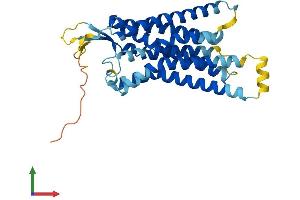 AlphaFold protein structure predicition of Human Recombinant GNRHR Protein, UniprotID P30968