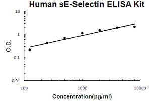 Human sE-Selectin Accusignal ELISA Kit Human sE-Selectin AccuSignal ELISA Kit standard curve. (Soluble E-Selectin ELISA Kit)