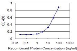 Detection limit for recombinant GST tagged ETS1 is 1 ng/ml as a capture antibody. (ETS1 antibody  (AA 173-272))