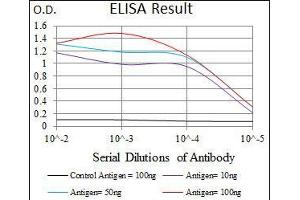 Black line: Control Antigen (100 ng), Purple line: Antigen(10 ng), Blue line: Antigen (50 ng), Red line: Antigen (100 ng), (POU3F2 antibody  (AA 214-362))