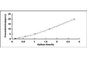 Typical standard curve (ROCK2 ELISA Kit)