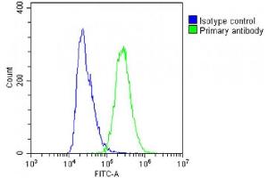 Overlay histogram showing A431 cells stained with (ABIN6244251 and ABIN6578865)(green line). (SEC24B antibody  (AA 1209-1239))