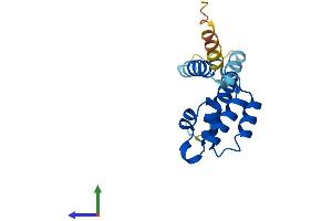 AlphaFold protein structure predicition of Mouse Recombinant Crcp Protein, UniprotID O35427