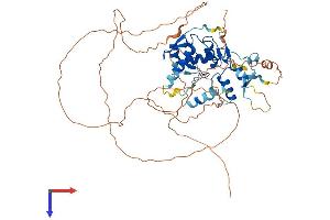 AlphaFold protein structure predicition of Human Recombinant ZNF280B Protein, UniprotID Q86YH2 (ZNF280B Protein (AA 1-543) (His tag))