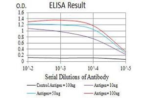 Black line: Control Antigen (100 ng),Purple line: Antigen (10 ng), Blue line: Antigen (50 ng), Red line:Antigen (100 ng) (ATG4C antibody  (AA 321-458))