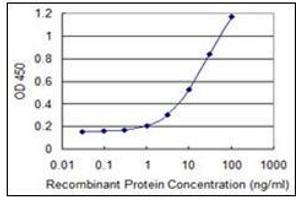 ELISA image for anti-Fibrillin 1 (FBN1) (AA 2772-2872) antibody (ABIN782397) (Fibrillin 1 antibody  (AA 2772-2872))