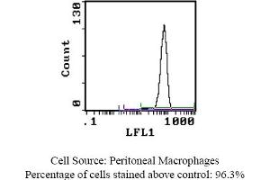 Mouse anti CD11b (Integrin aM-chain) (C3bi receptor) OX-42 (CD11b antibody  (Biotin))