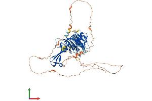 AlphaFold protein structure predicition of Human Recombinant USP17L4 Protein, UniprotID A6NCW7 (USP17L4 Protein (AA 1-530) (His tag))