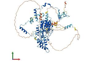 Protein Structure (PS) image for Guanine Nucleotide Binding Protein Like Protein 2 (GNL2) (AA 1-731) protein (His tag) (ABIN7549809)
