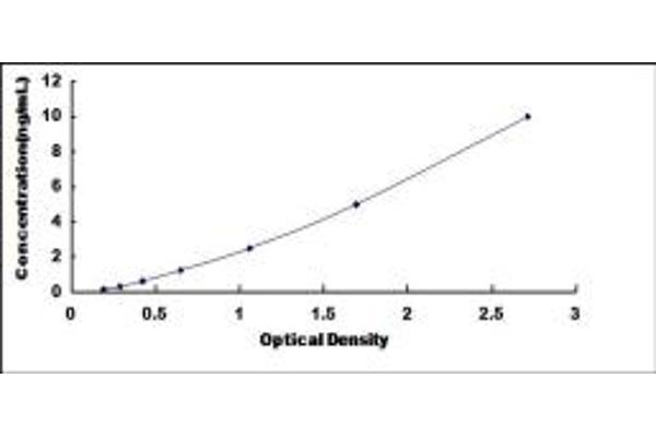 ABCC10 ELISA Kit