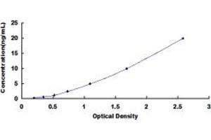 Typical standard curve (SSH2 ELISA Kit)