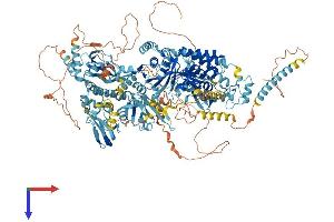AlphaFold protein structure predicition of Mouse Recombinant Pnpla7 Protein, UniprotID A2AJ88 (Patatin-Like Phospholipase Domain Containing 7 (PNPLA7) (AA 1-1352) protein (His tag))