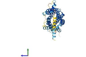 Protein Structure (PS) image for G Protein-Coupled Receptor 15 (GPR15) (AA 1-360) protein (His tag) (ABIN7556952)