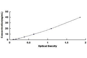 Typical standard curve