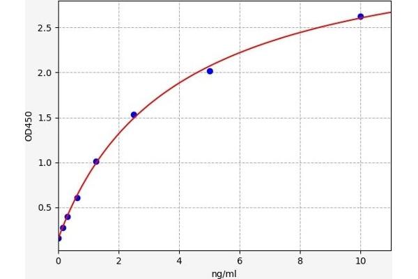 KSR2 ELISA Kit