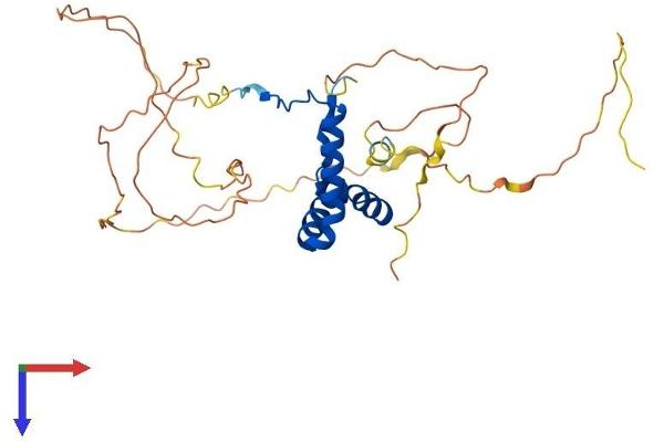 SOX2 Protein (AA 1-319) (His tag)