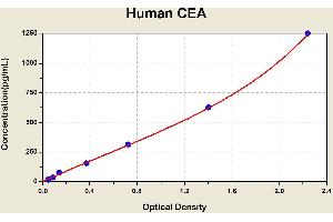 Carcinoembryonic Antigen Gene Family (CEA) ELISA Kit