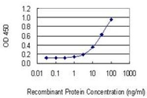 Detection limit for recombinant GST tagged MAST2 is 0. (MAST2 antibody  (AA 688-792))