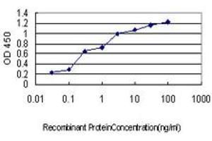 Detection limit for recombinant GST tagged ABCC2 is approximately 0. (ABCC2 antibody  (AA 214-313))