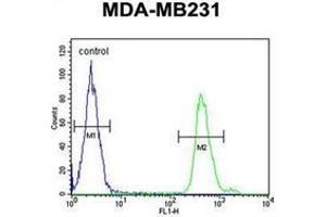 Flow cytometric analysis of MDA-MB231 cells using SMAD3 Antibody  (right histogram) compared to a negative control cell (left histogram).