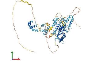 AlphaFold protein structure predicition of Mouse Recombinant Tigd5 Protein, UniprotID Q499M4