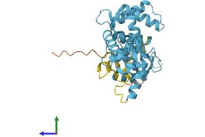 AlphaFold protein structure predicition of Mouse Recombinant Scgn Protein, UniprotID Q91WD9