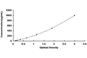 Typical standard curve (CXCL2 ELISA Kit)