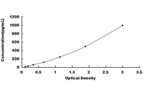 CXCL2 ELISA Kit