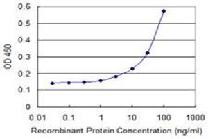 Detection limit for recombinant GST tagged COX4I1 is 1 ng/ml as a capture antibody. (COX IV antibody  (AA 1-169))