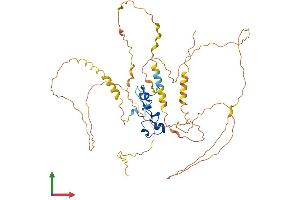 AlphaFold protein structure predicition of Human Recombinant ZFP36L2 Protein, UniprotID P47974
