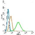 anti-Partner and Localizer of BRCA2 (PALB2) (AA 1101-1186) antibody