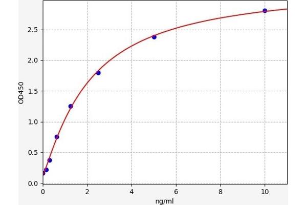 CYP1A1 ELISA Kit