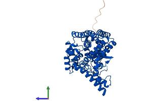 AlphaFold protein structure predicition of Mouse Recombinant Fads2 Protein, UniprotID Q9Z0R9