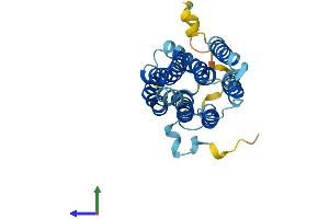 AlphaFold protein structure predicition of Human Recombinant MMD2 Protein, UniprotID Q8IY49